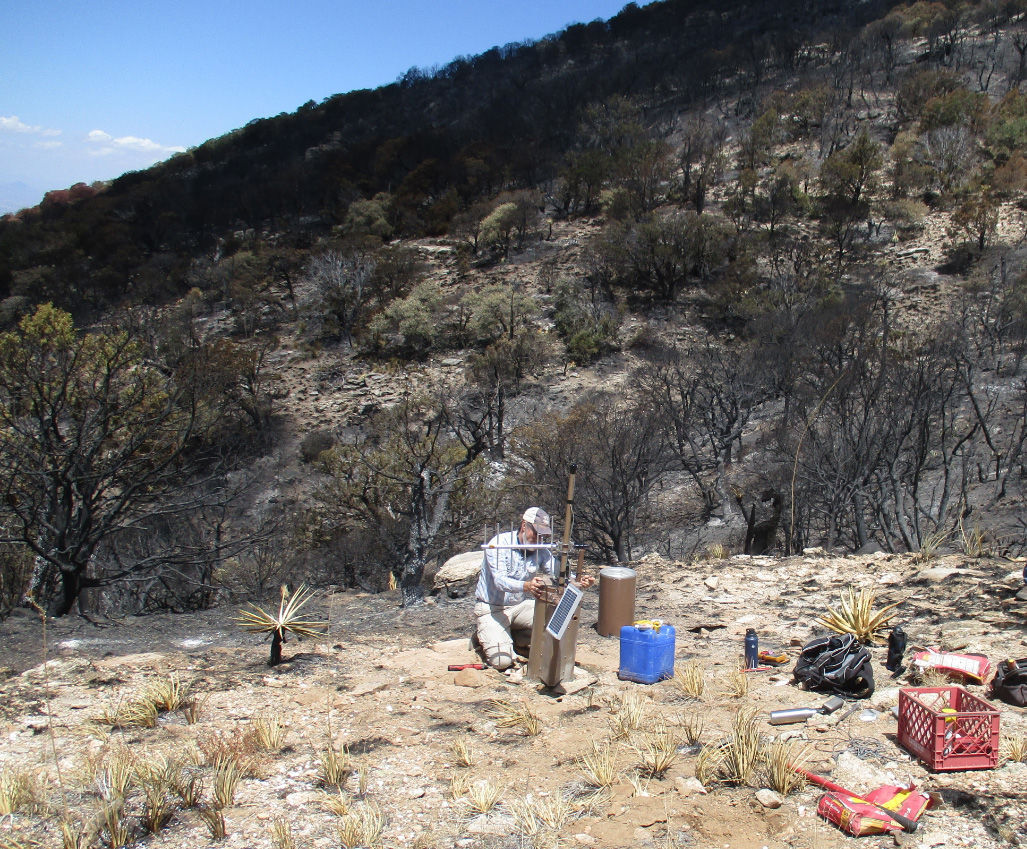 Bighorn Fire